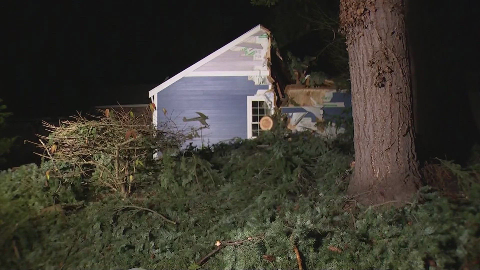 A large chunk of Redmond has been without power since Tuesday's bomb cyclone ripped across western Washington.