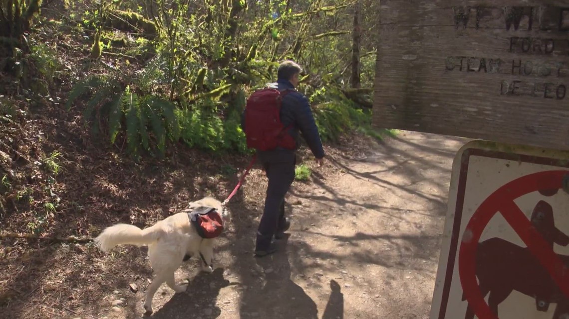 Hiker makes list of most crime-targeted trailheads in WA - Vimarsana News
