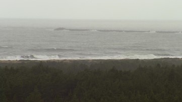 Plans for 600-acre golf resort along Washington coastline reach final stages