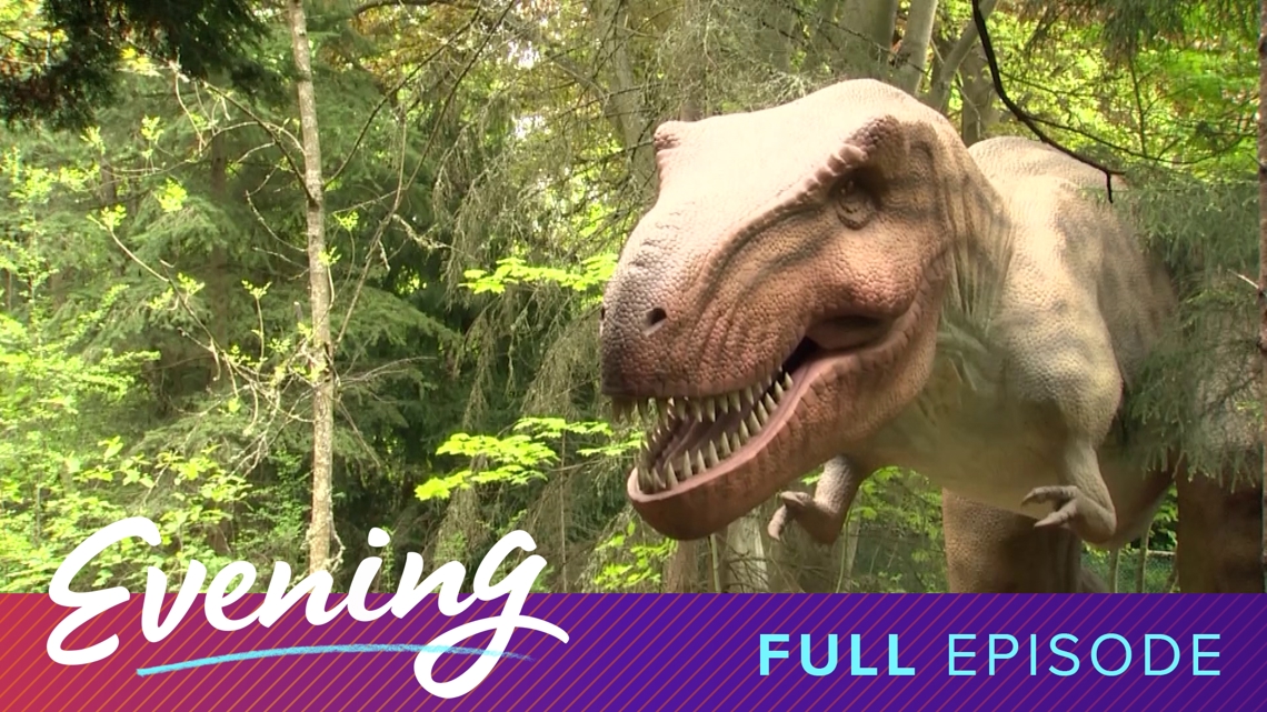 Dinosaur Discovery at Woodland Park Zoo and tips for home maintenance ...