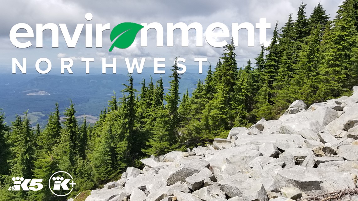 Our changing world | A 2023 Environment Northwest special | king5.com