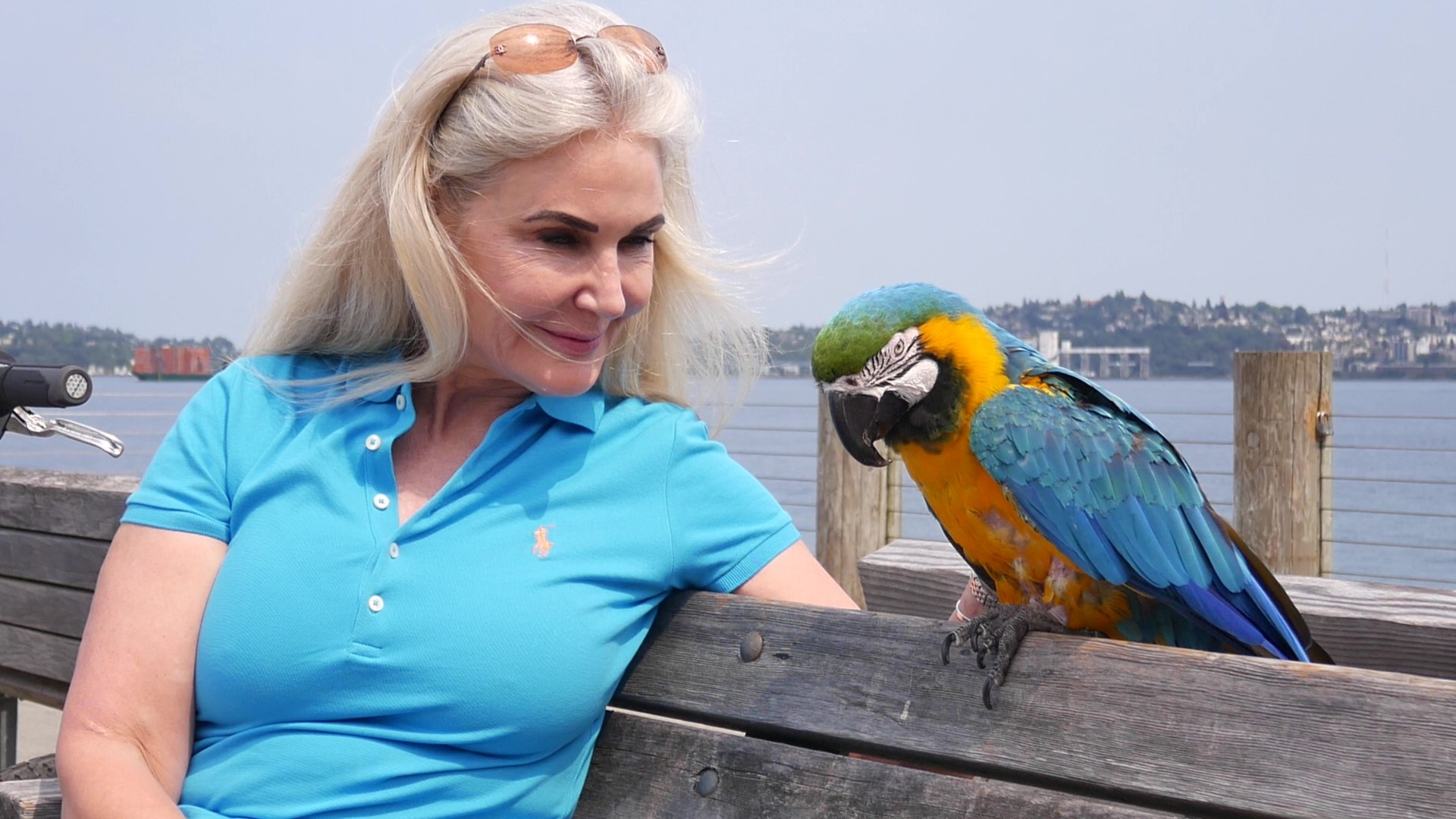 Mary Gringo started biking around West Seattle with her macaw, Lago, during the pandemic — and Lago now has hundreds of fans. #k5evening