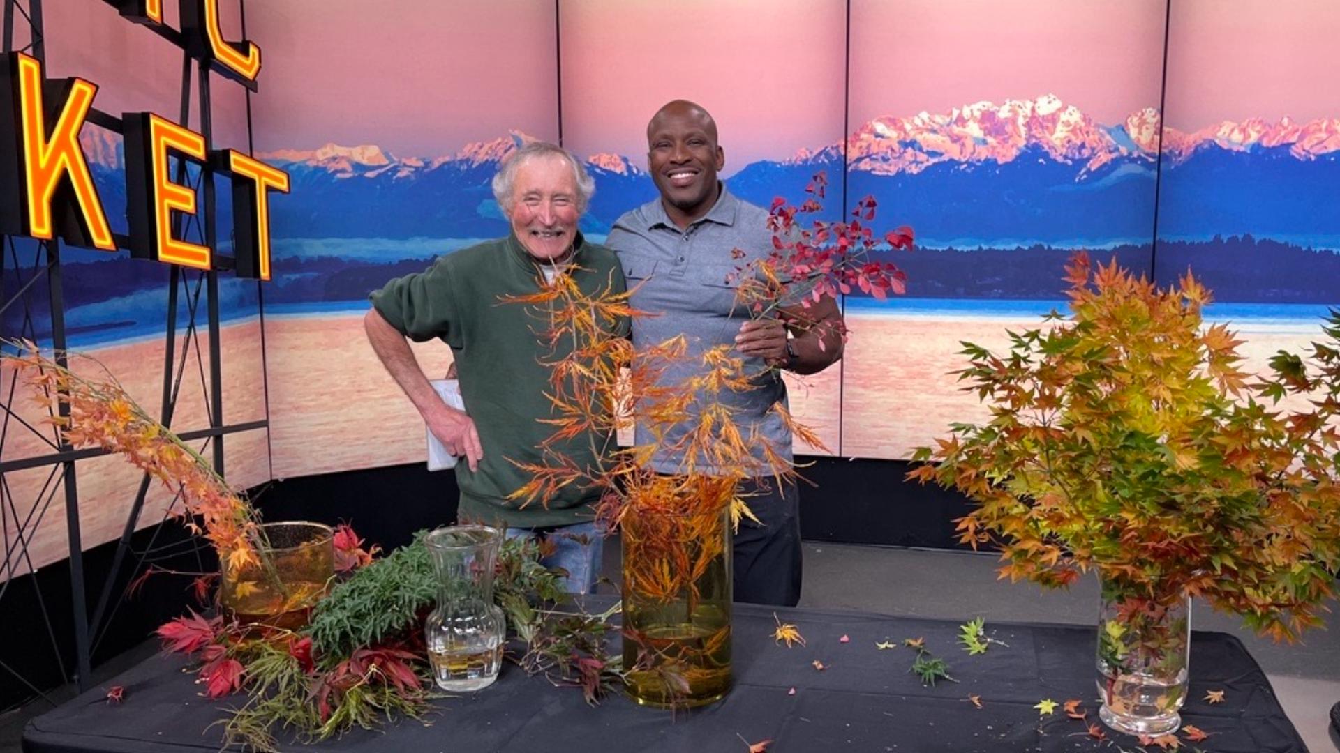 Master Gardener Ciscoe says if plants aren’t in full color when you buy them, they’ll probably never be. #newdaynw