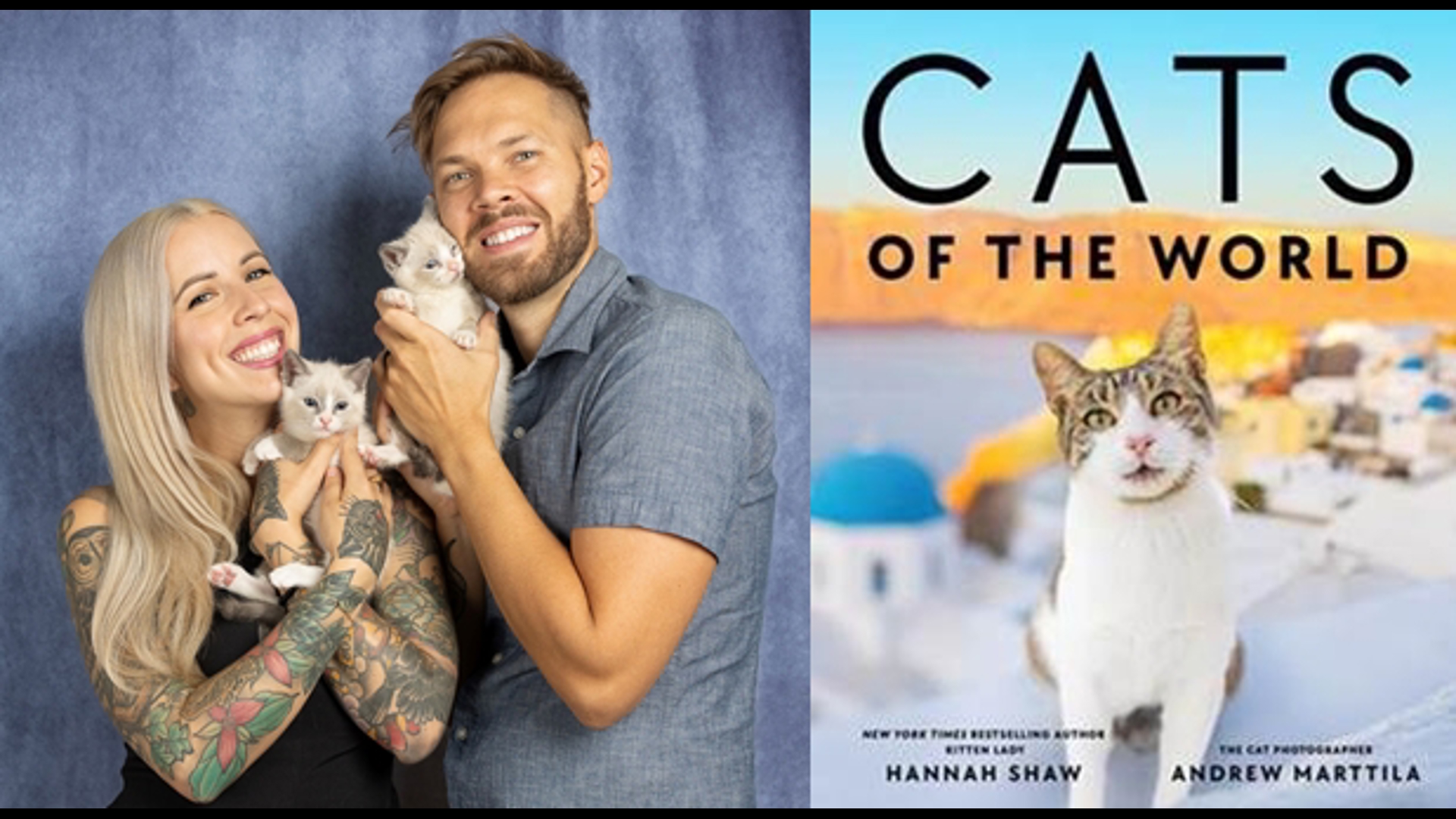 For Hannah 'Kitten Lady' Shaw and husband Andrew Marttila creating "Cats of the World" was the purrfect adventure. #k5evening