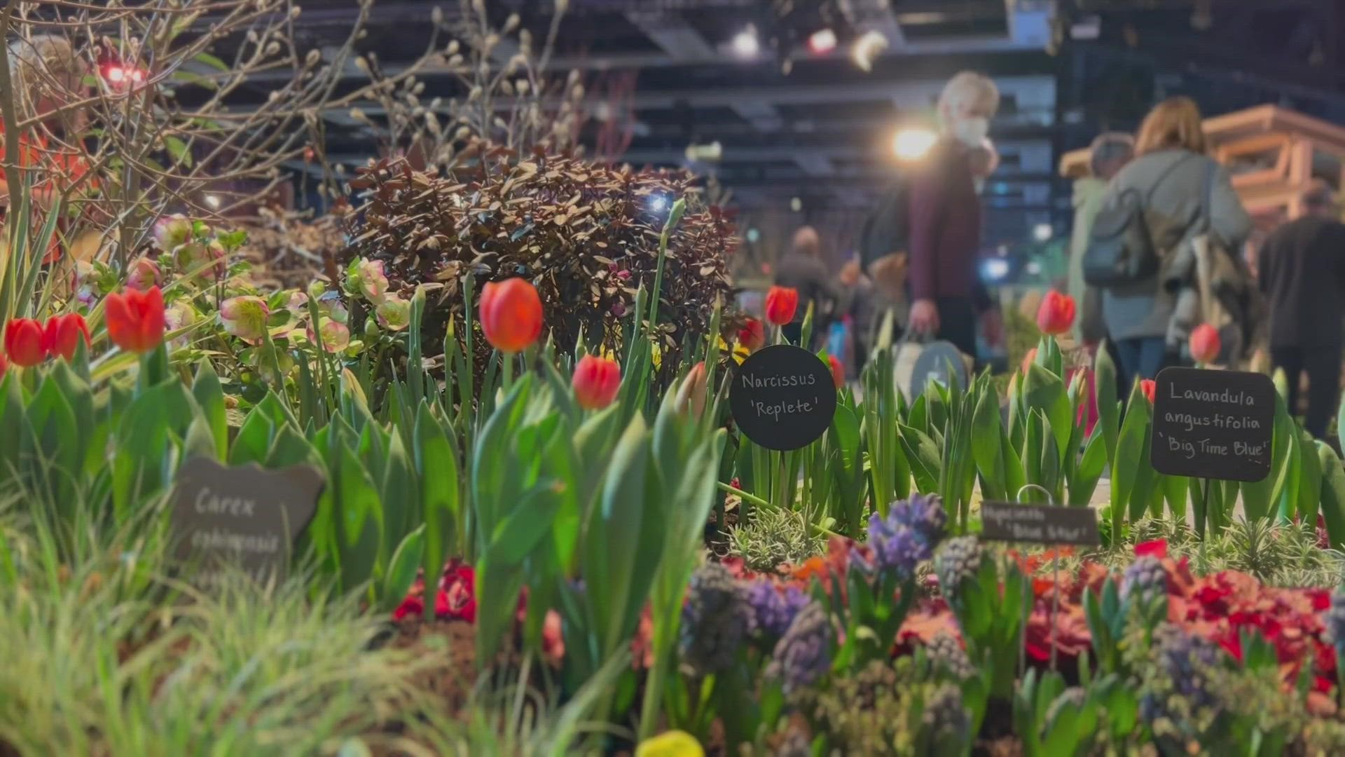 The annual flower and garden show is happening now at the Seattle Convention Center.