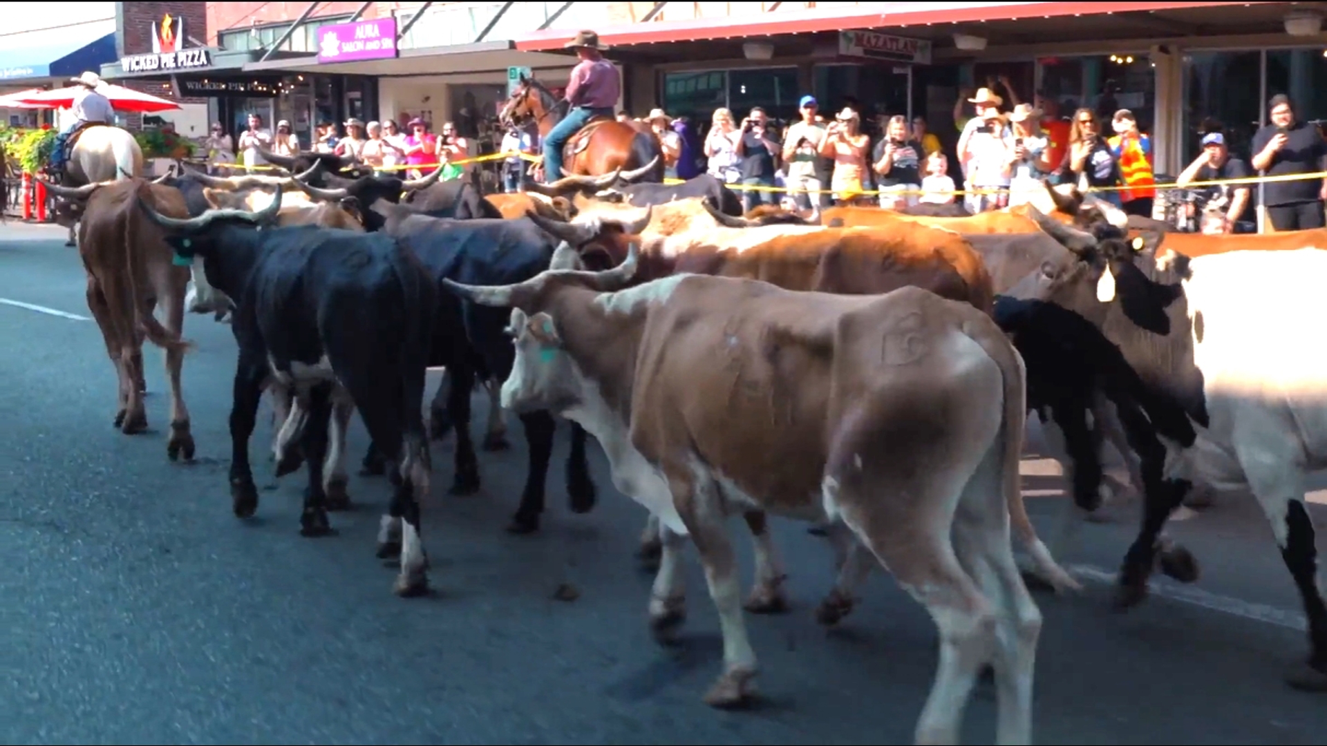 Cowboys serve breakfast and the parade route has caution tape at this tradition celebrating the Washington State Fair. #k5evening