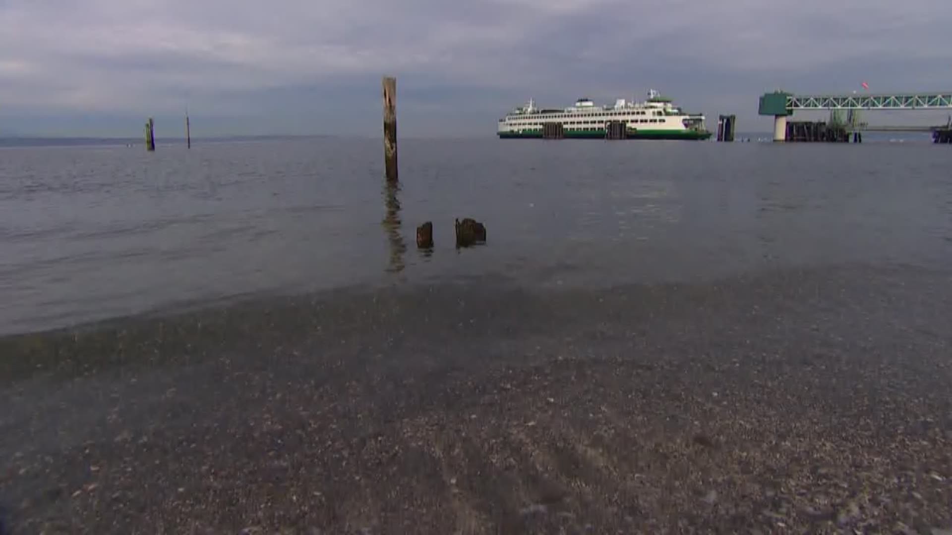 whopping-pay-raises-on-deck-for-some-ferry-workers-king5-com