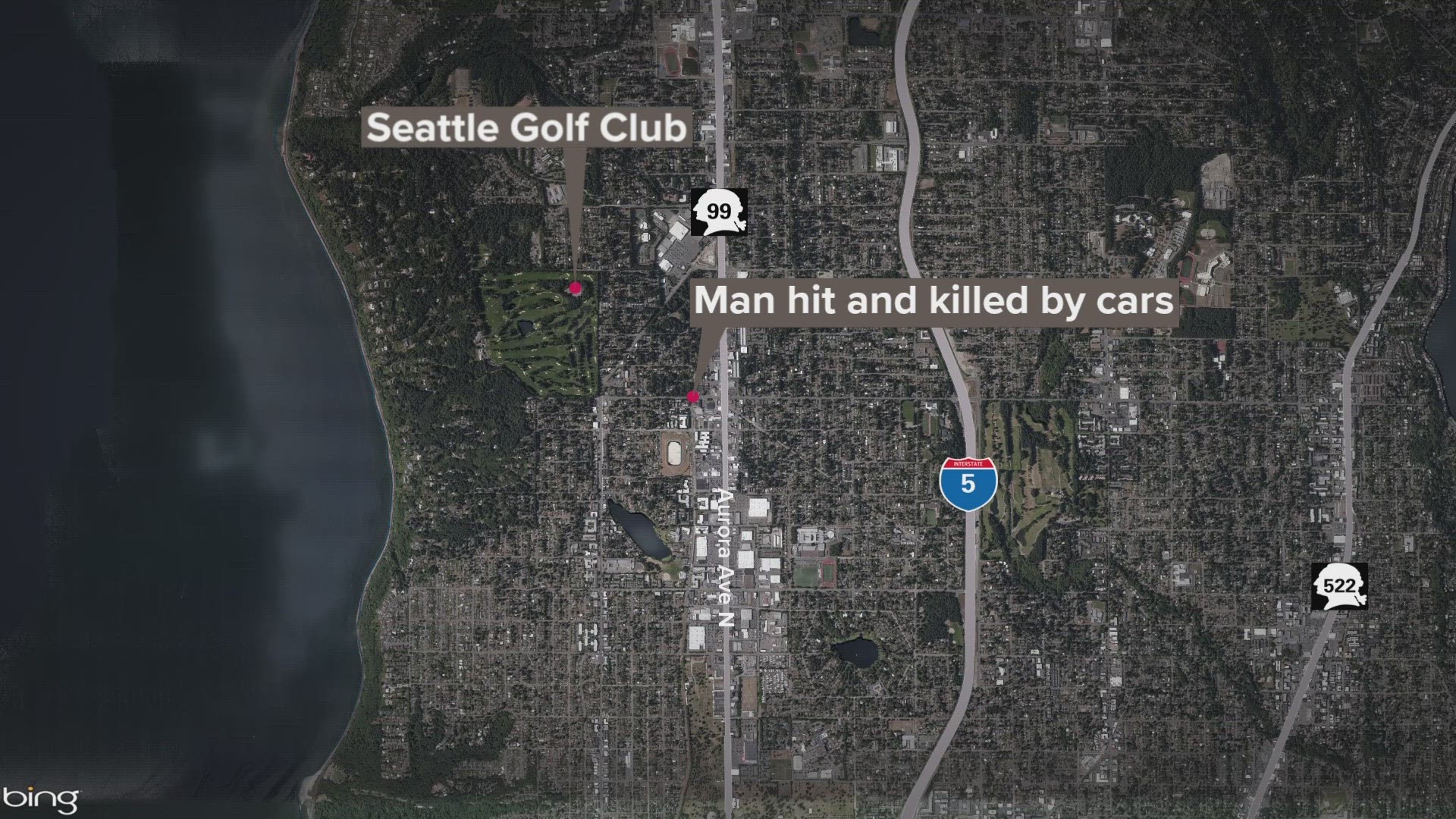 Witnesses told police they saw two cars hit a man near North 145th Street and Linden Avenue North in Seattle.