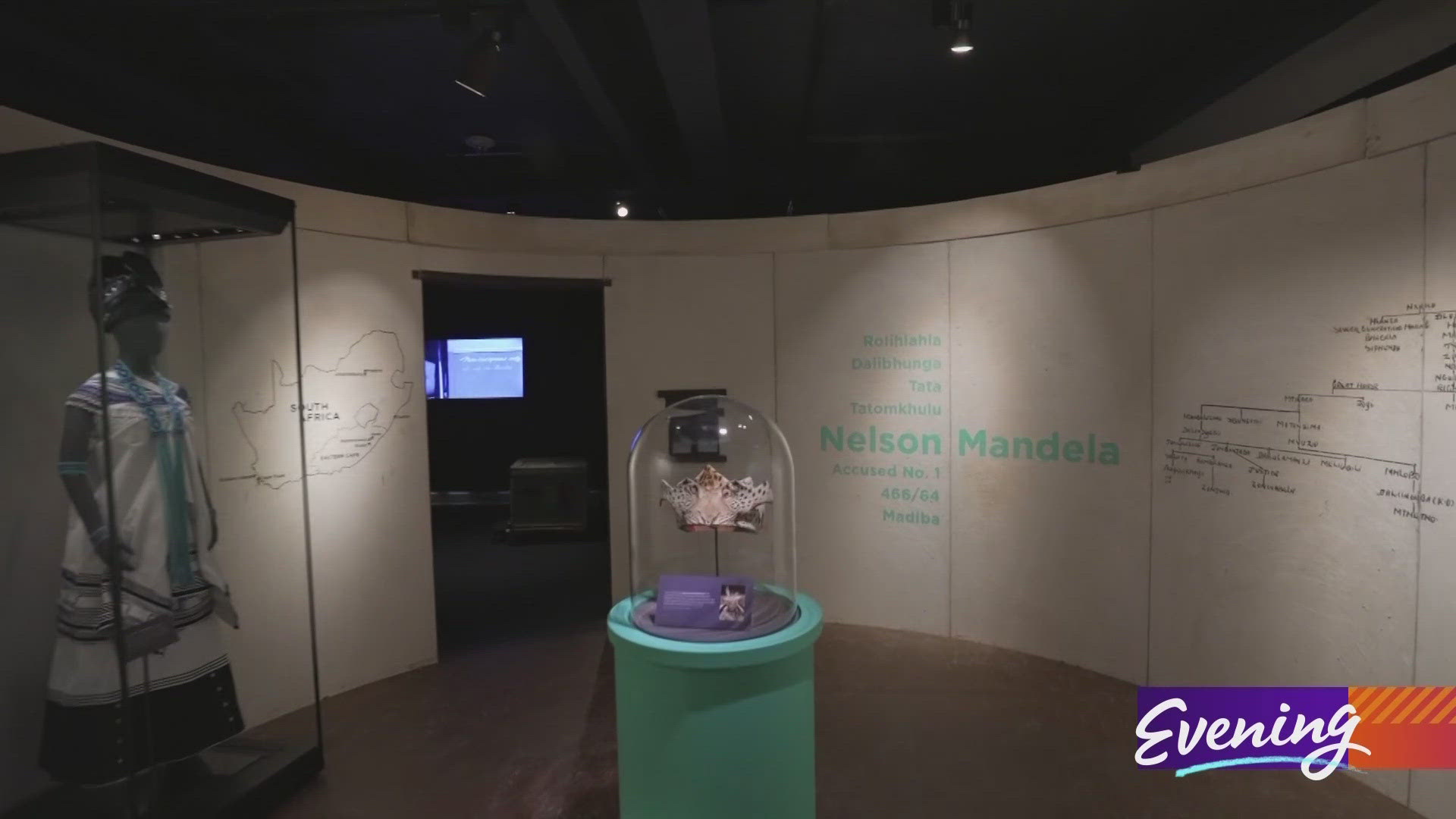 "Mandela: The Official Exhibition" includes the story of Seattle's role in protesting South Africa's ruling Apartheid party. #k5evening