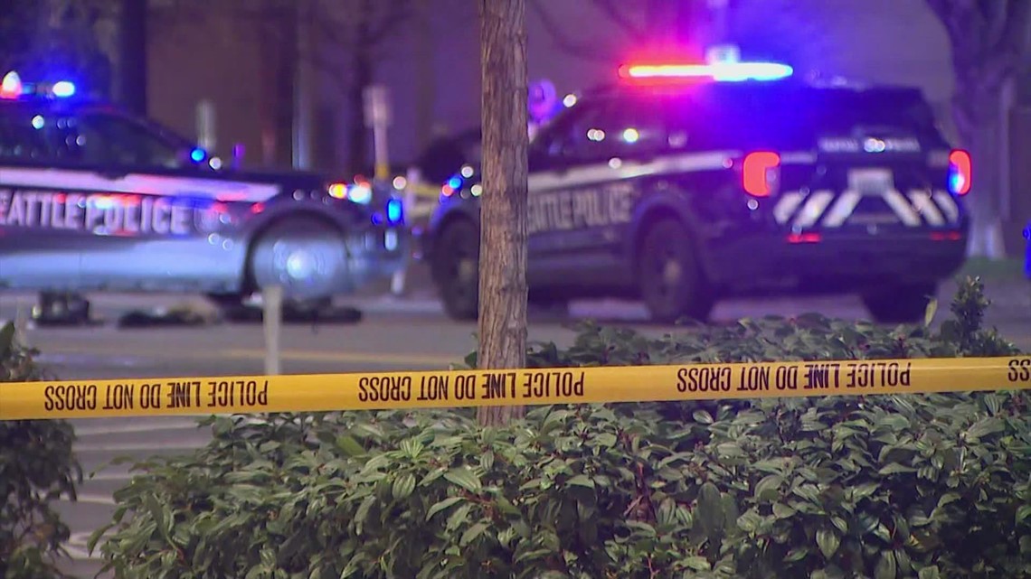 Case of woman struck, killed by Seattle police car being investigated