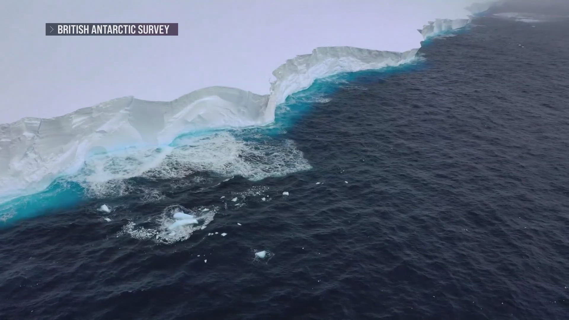 The iceberg is five times the size of the land mass of New York City and 1,000 feet deep