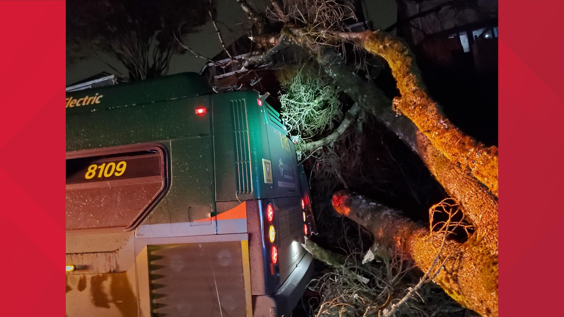 Bus driver recounts tree falling on King County Metro bus | king5.com
