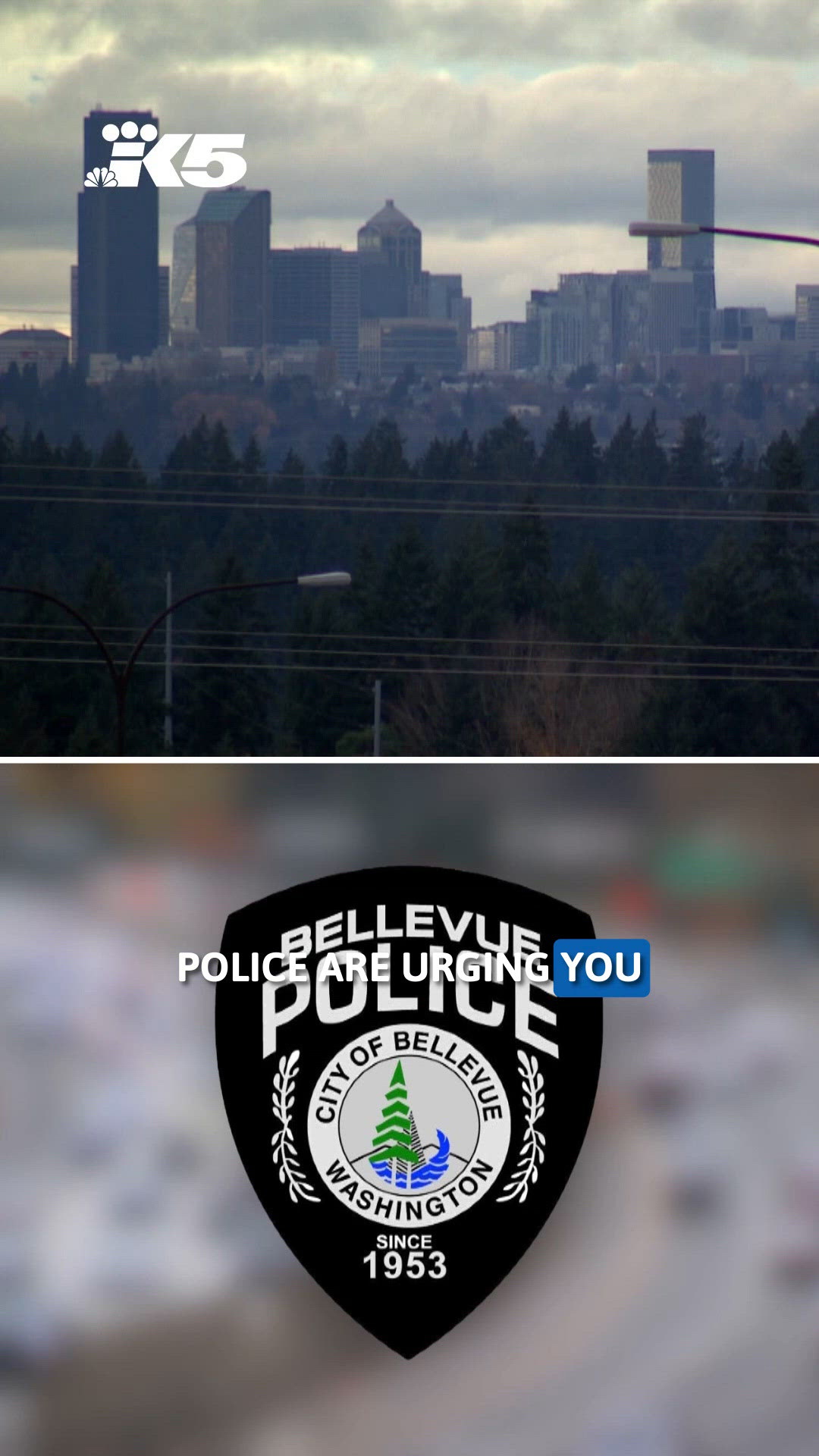 Bellevue Police urge safe driving ahead of holiday | king5.com