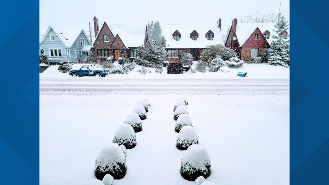 Several inches of lowland snow expected in South Sound today - Vimarsana News