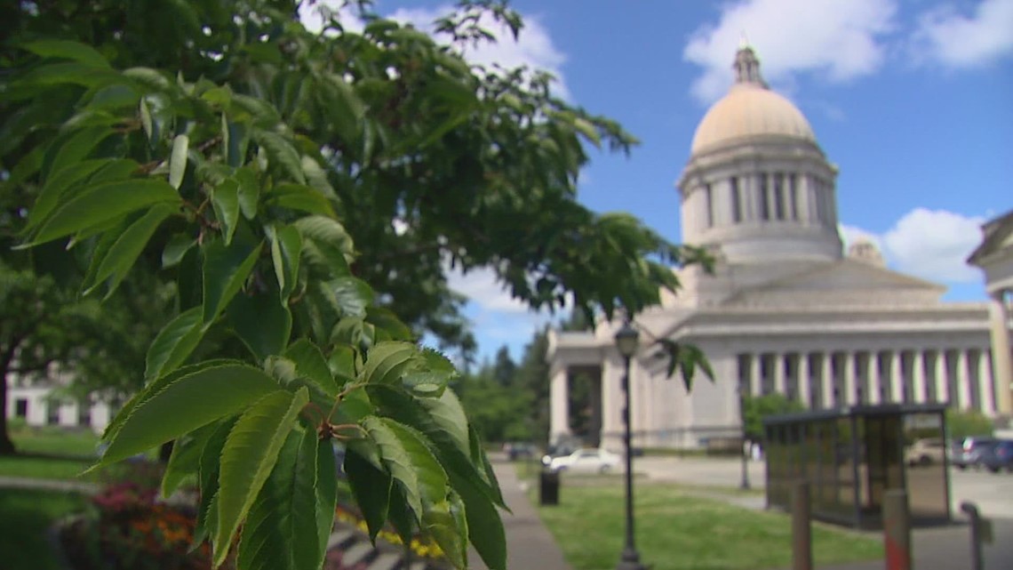 Record-keeping issues could cost Washington millions, per auditor - Vimarsana News