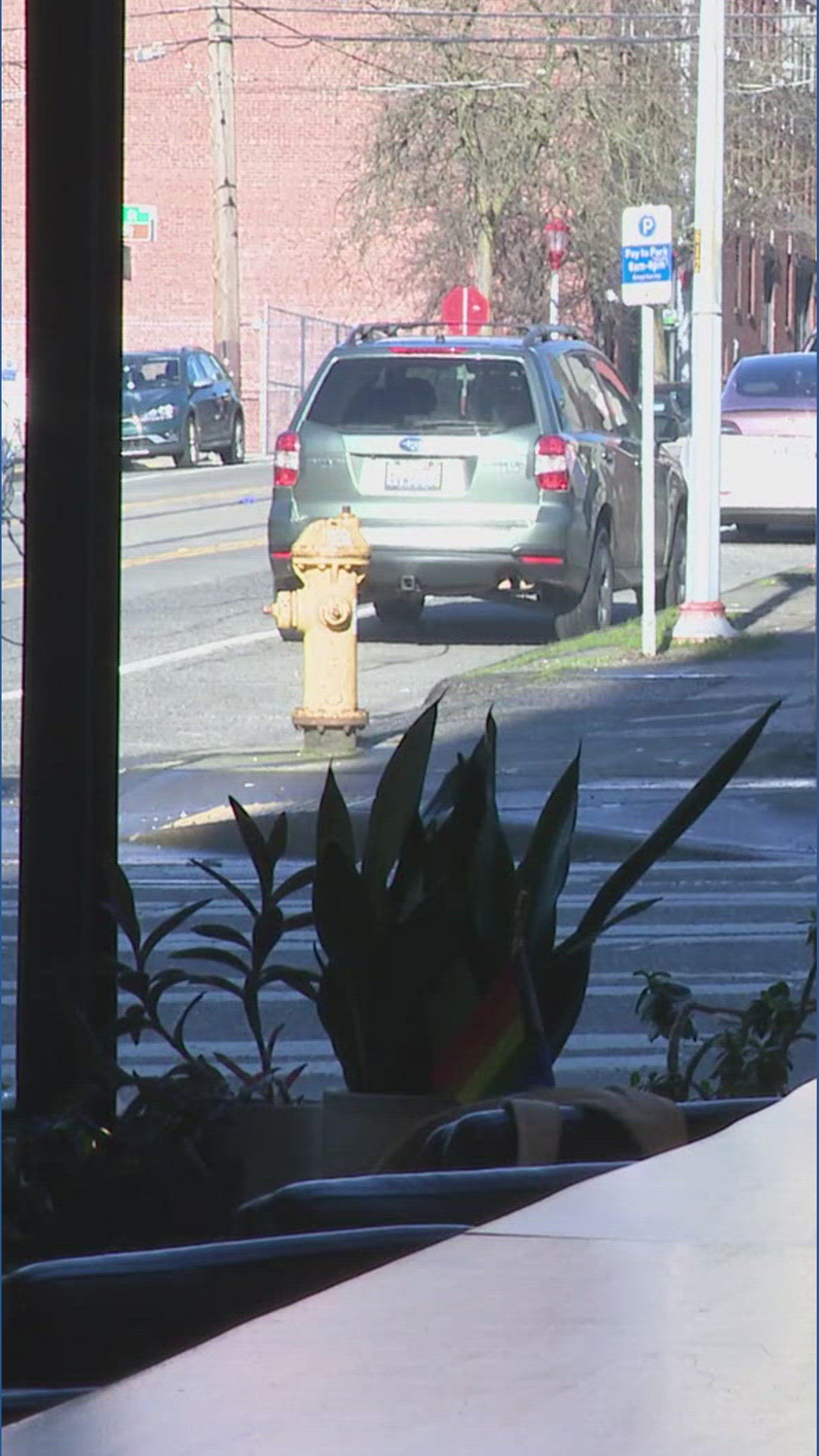 Seattle police investigating shooting outside a hookah lounge that ...