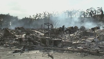 Washington task force deployed to Hawaii to assist with Maui wildfires search and rescue