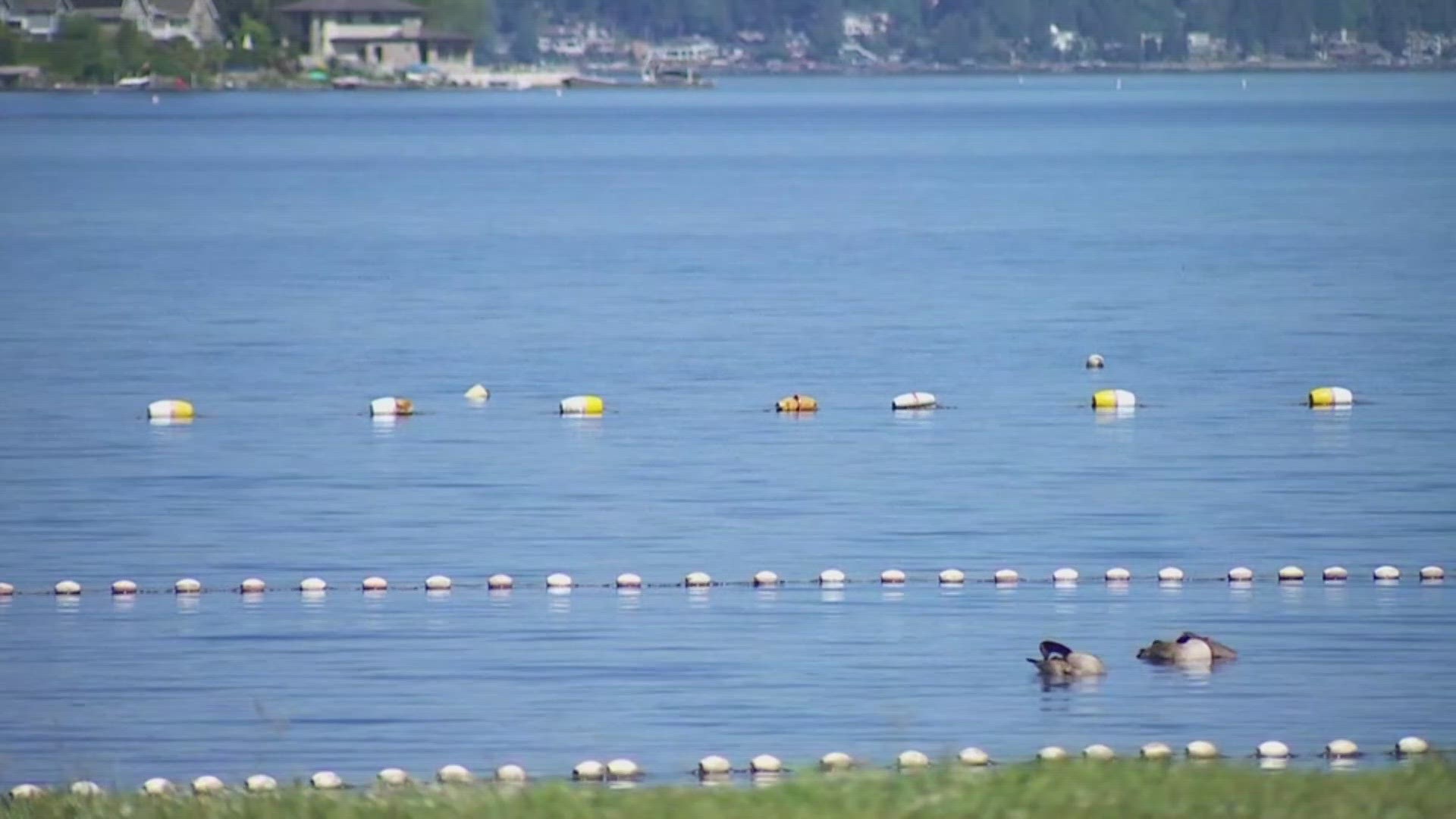 The body of an 18-year-old man was recovered from Lake Sammamish after he drowned over the weekend.