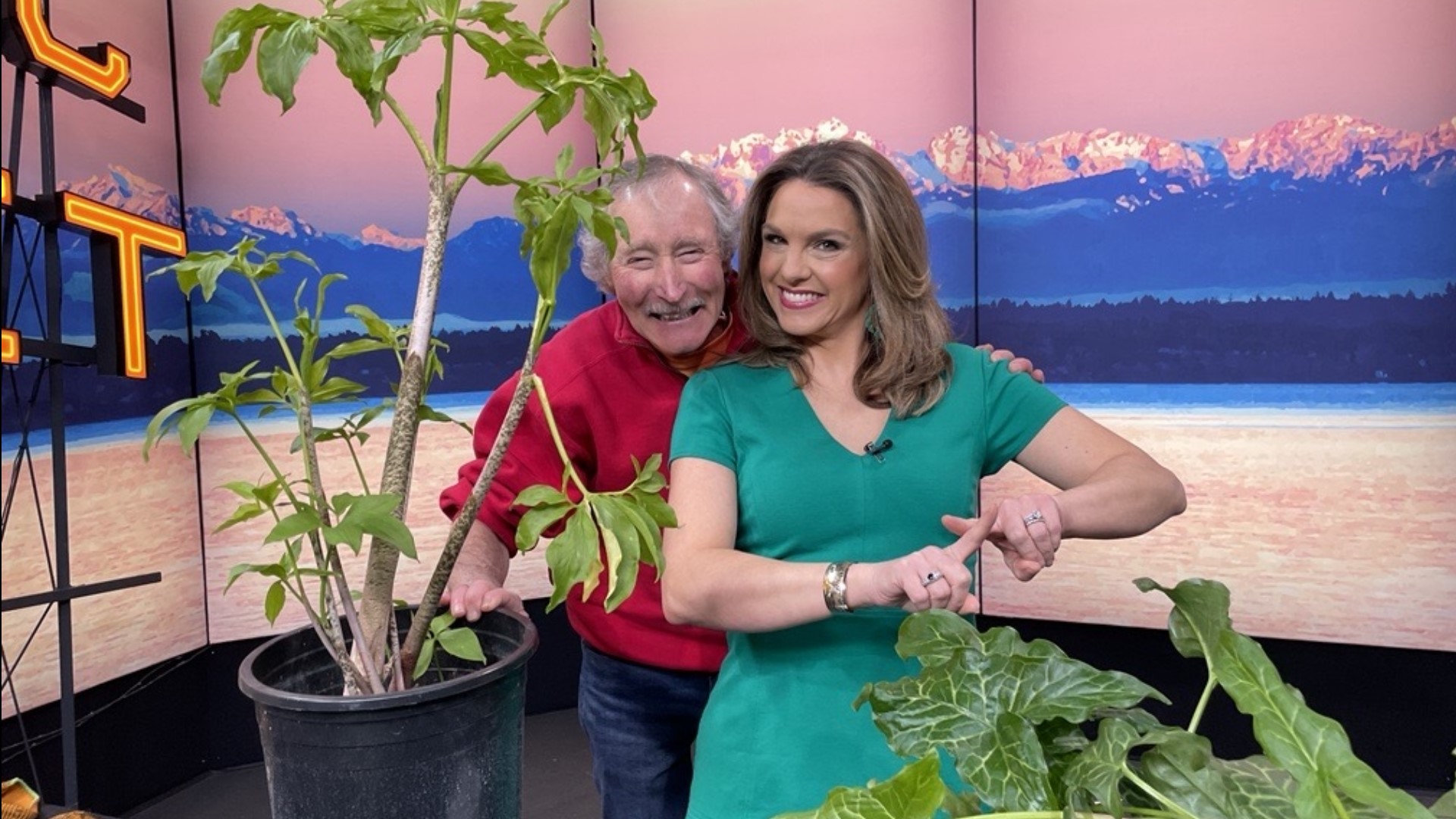 Master Gardener Ciscoe Morris is back to help us figure out how to spot an annoying plant in the garden. #newdaynw