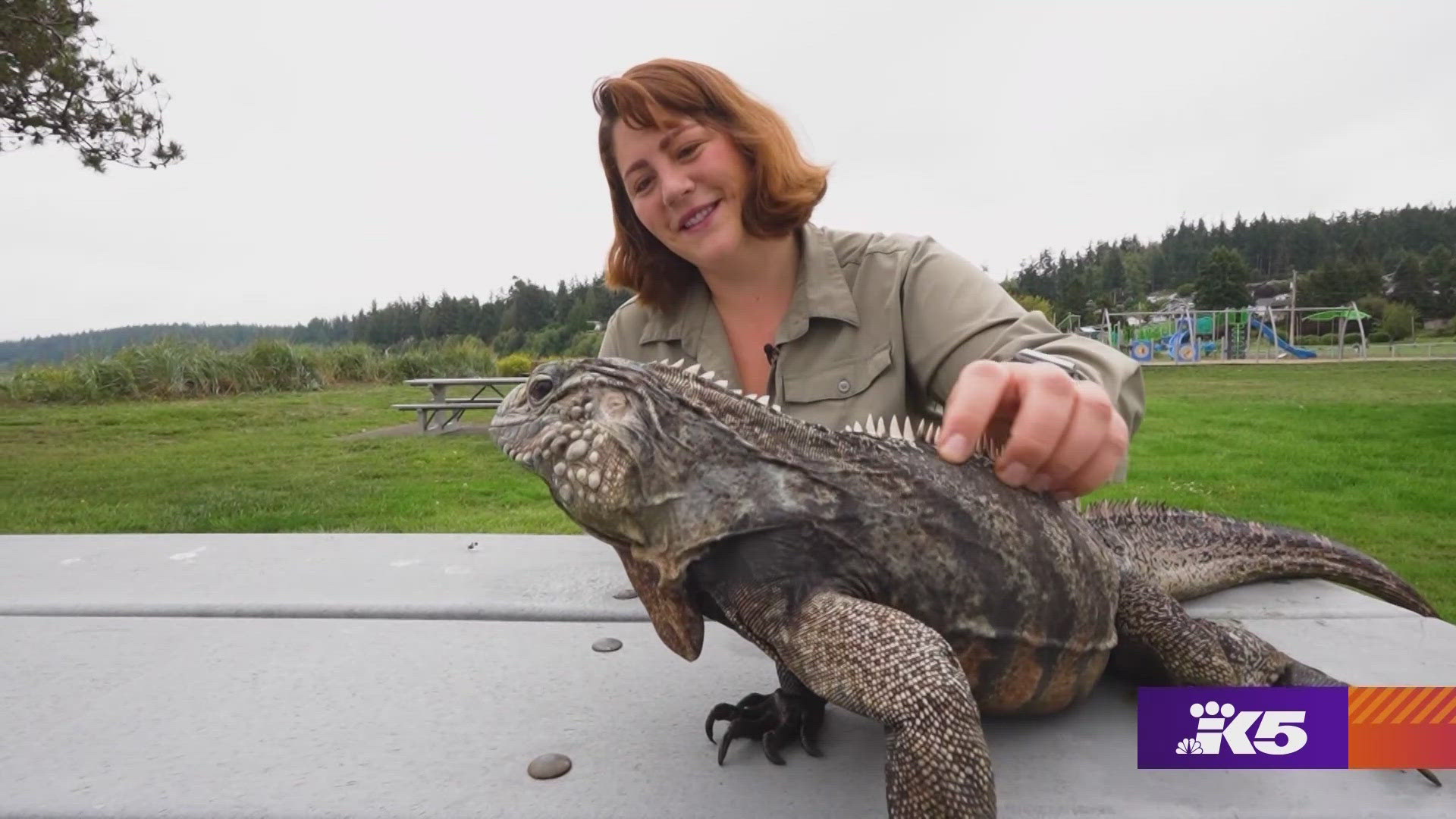 April Jackson visits people of all ages to share the joy of reptiles in Washington.