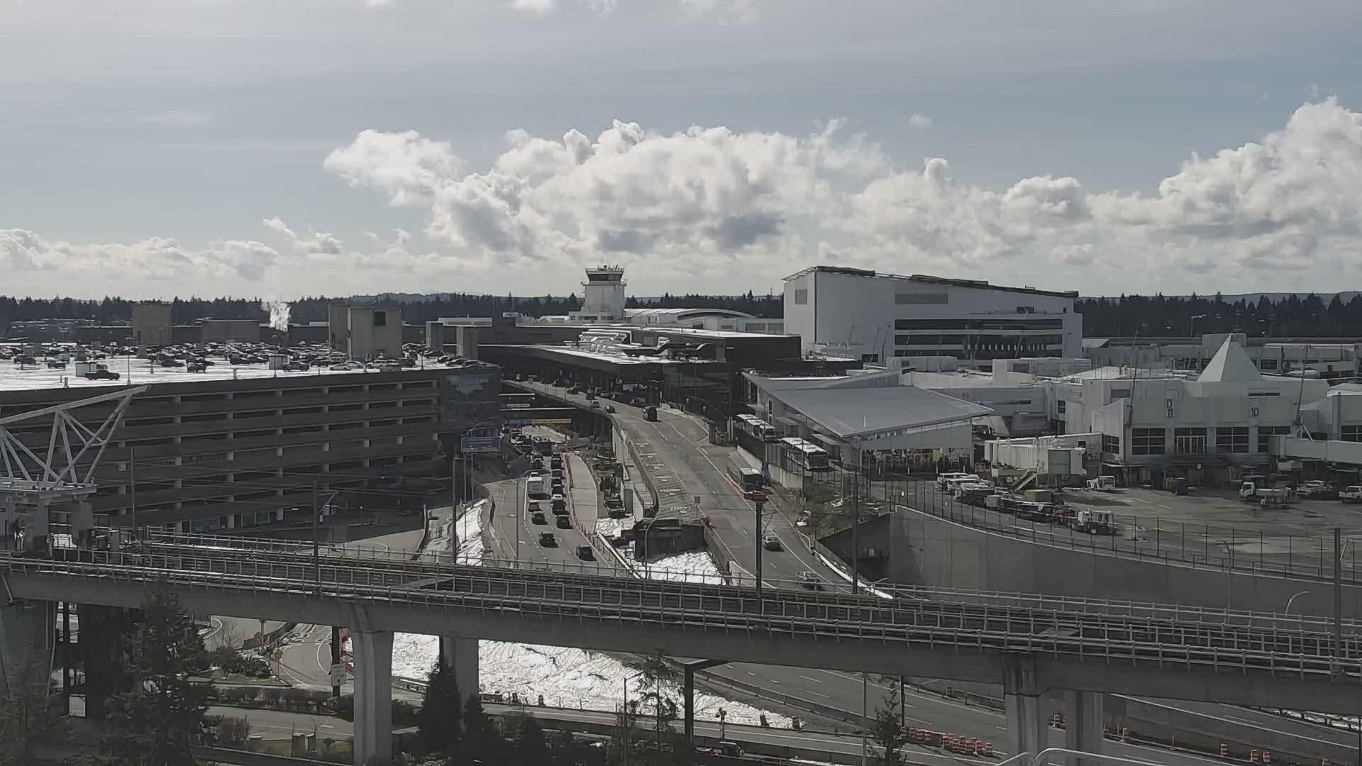 According to spokesperson Perry Cooper, SEA saw 45 canceled arrivals and 24 departures on Saturday, saying there we no major ongoing operational issues with runways