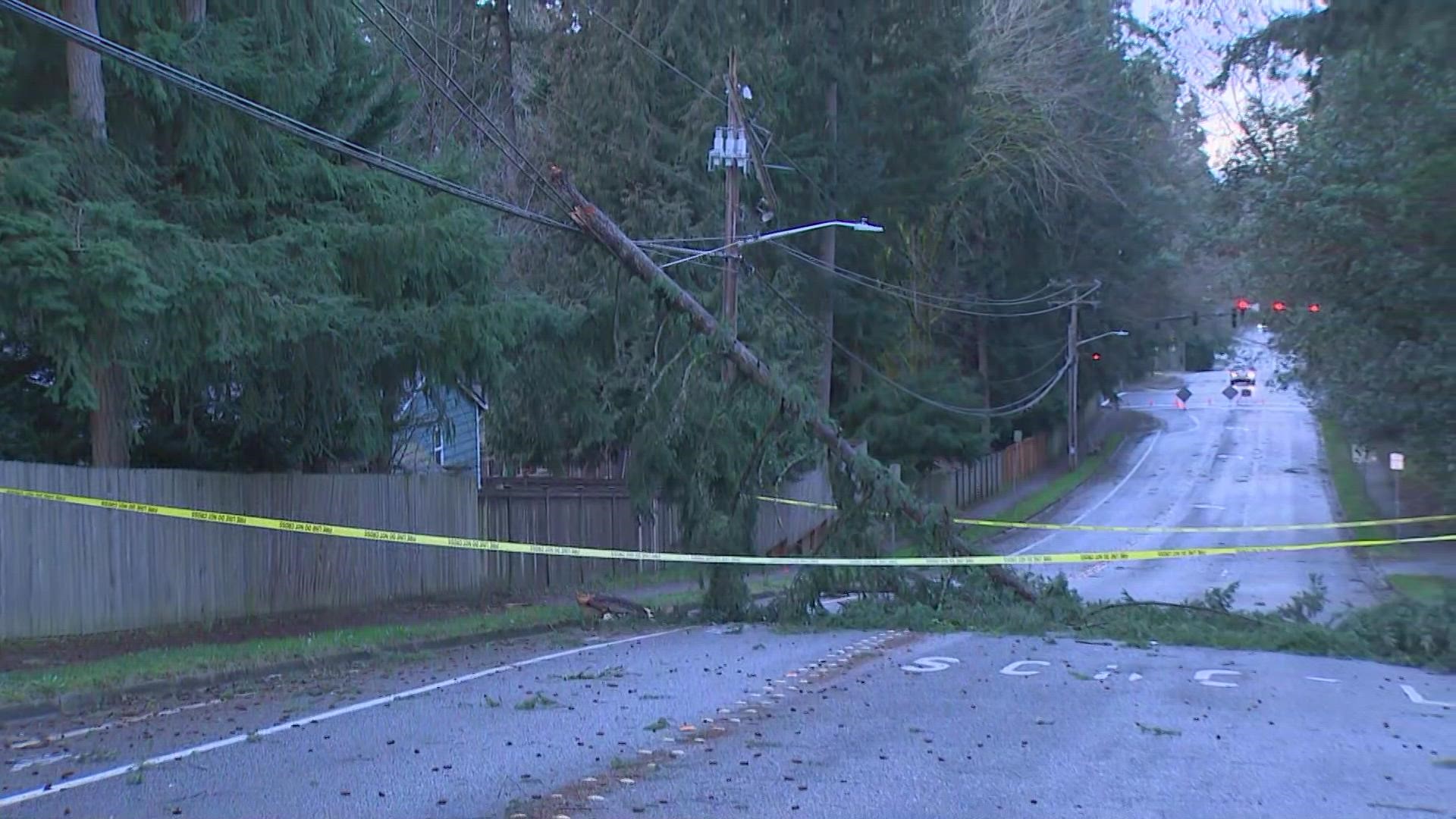Wind gusts sent a tree crashing into powerlines on NE 104th St. in Redmond