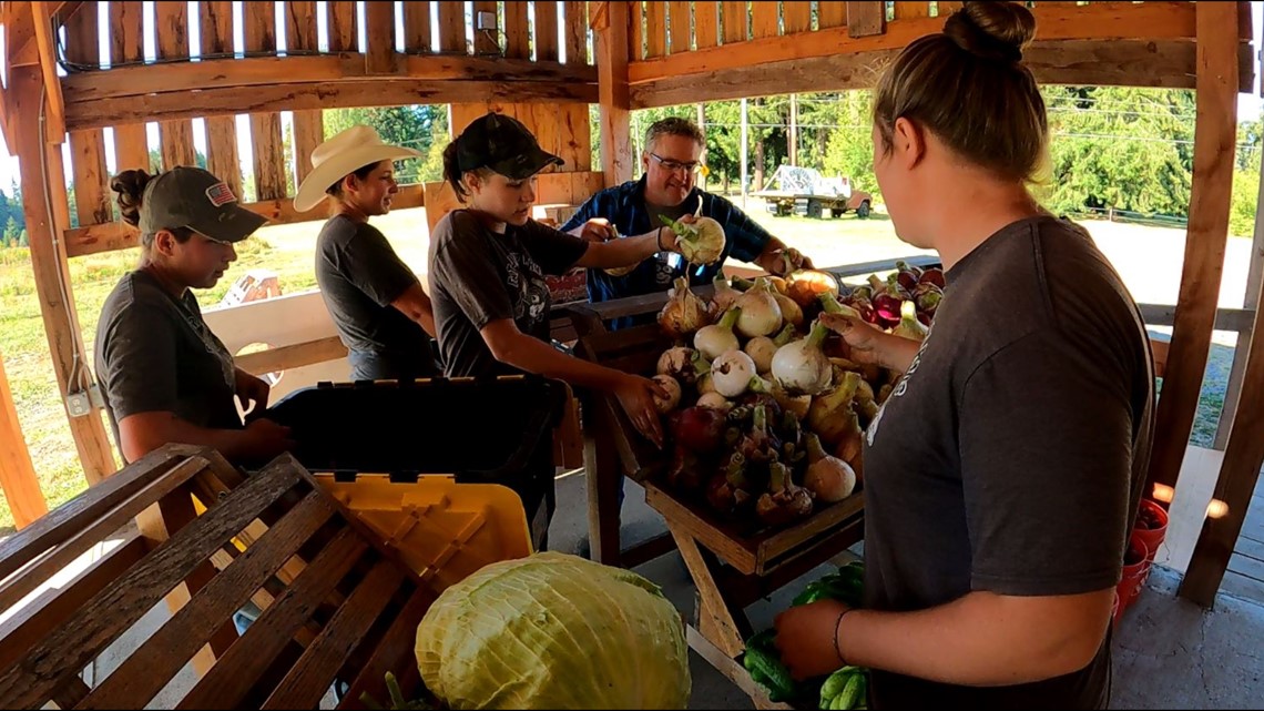 This Kingston farm, grows food, flowers, and future farmers
