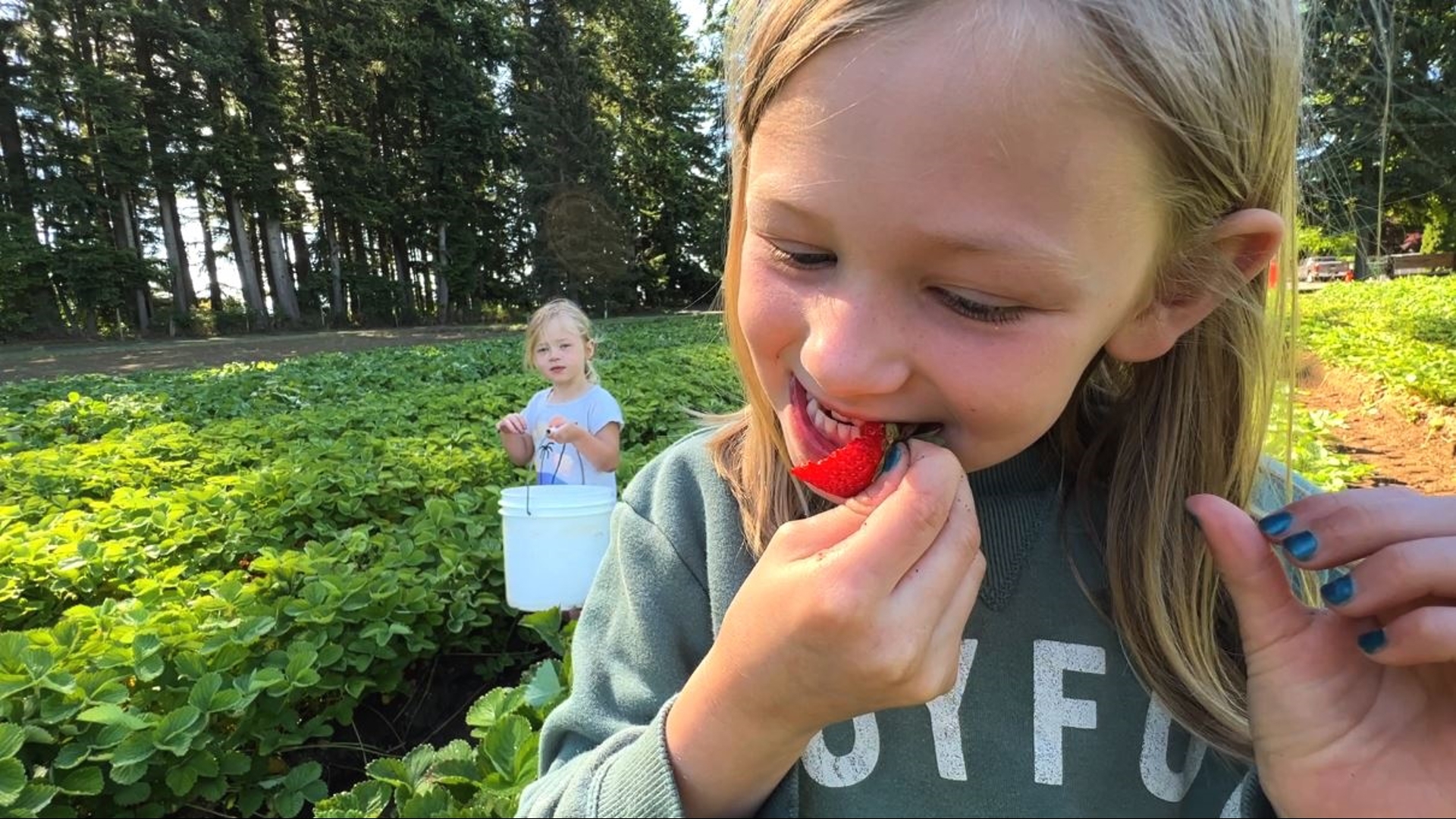 There are nine different farm to table loops to explore for fun and the freshest possible food #k5evening