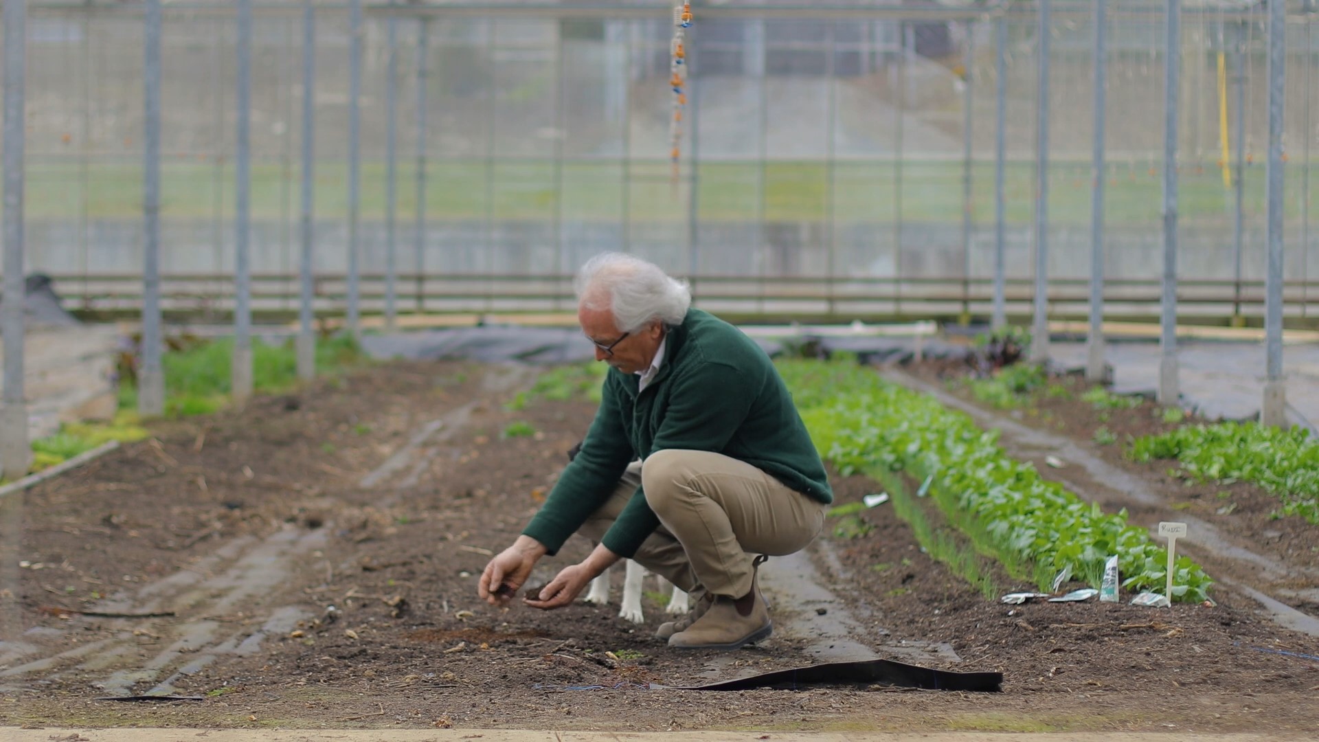 Return Home is a funeral service that provides terramation, or human composting, for loved ones who have passed on. Sponsored by Return Home.