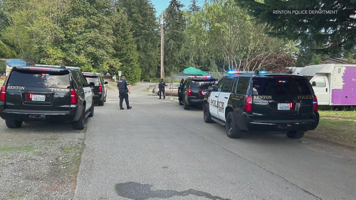 Teen accused of stabbing man to death in Renton