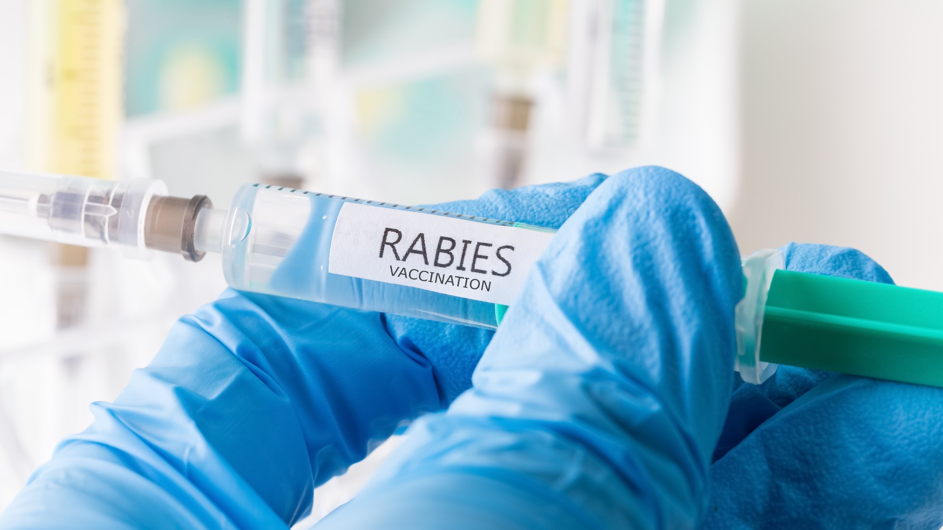 The bat was caught and taken to the Washington State Public Health Lab where it tested positive for rabies.