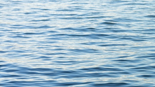 Tacoma's iconic Rust Mansion gets a million dollar makeover | king5.com