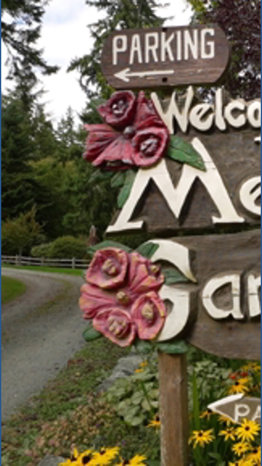 Discover the magic of fall at Meerkerk Gardens | king5.com