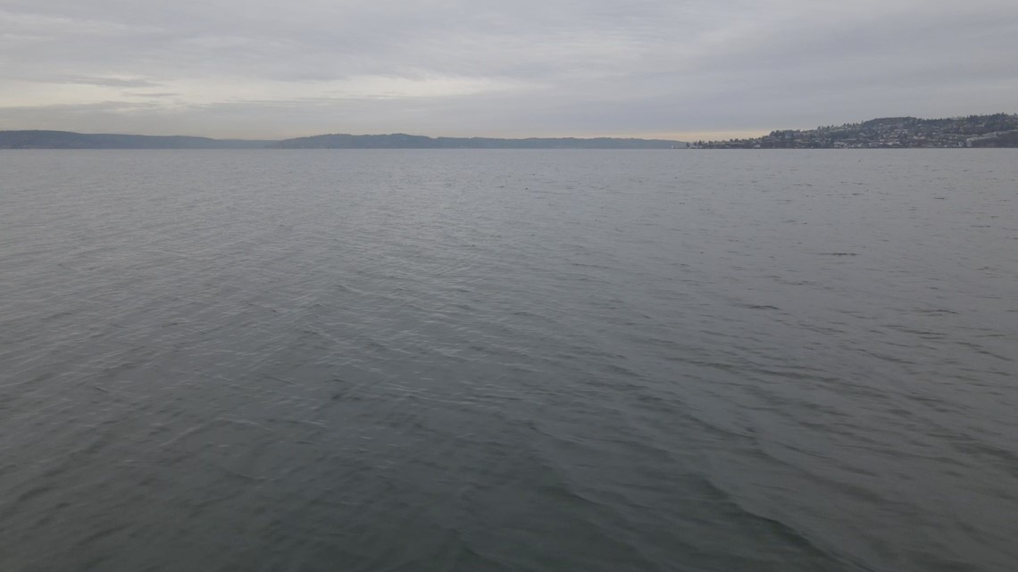 Washington scientists monitor ocean acidification in Puget Sound - Vimarsana News