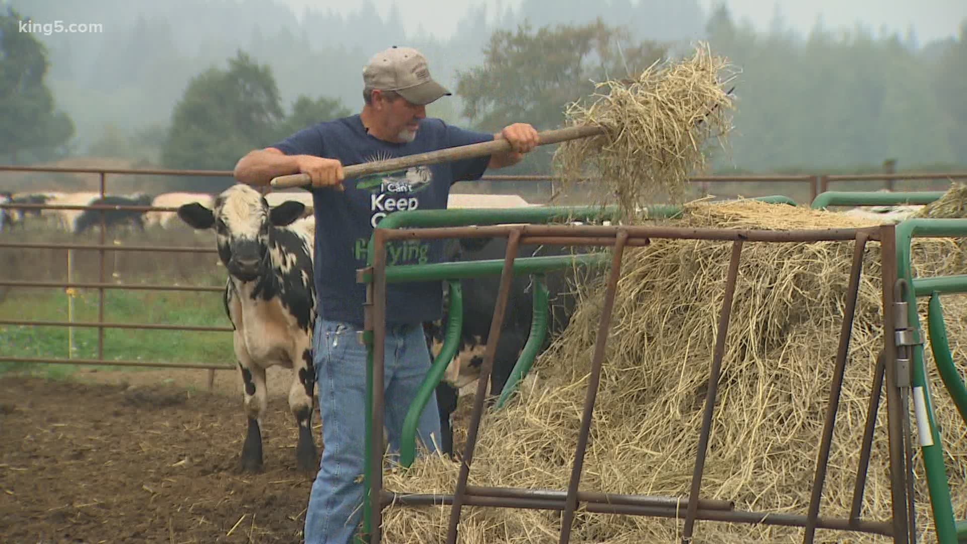 Eastern Washington's fires have destroyed family farms, threatening to devastate the families that run them.