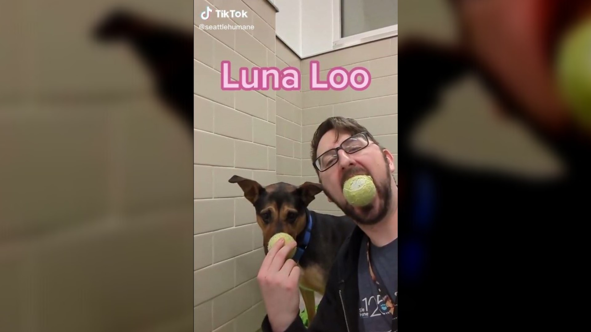 Hilarious and touching TikTok videos of animals have earned more than 2.4 million "likes" and lead to numerous adoptions. #k5evening