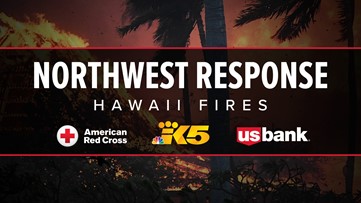 How to help those impacted by the Hawaii wildfires