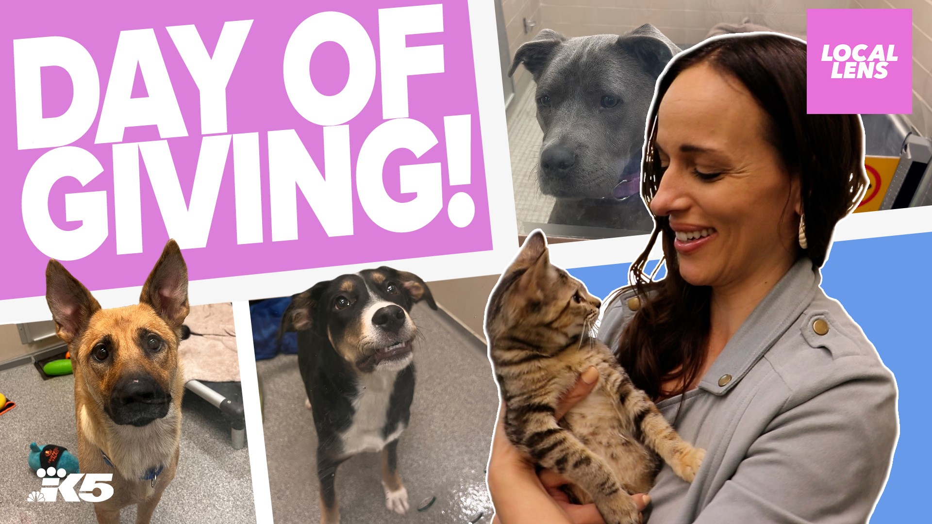 It’s time to find these precious animals their forever home! 🐶🐾 This video is sponsored by Seattle Humane Society.