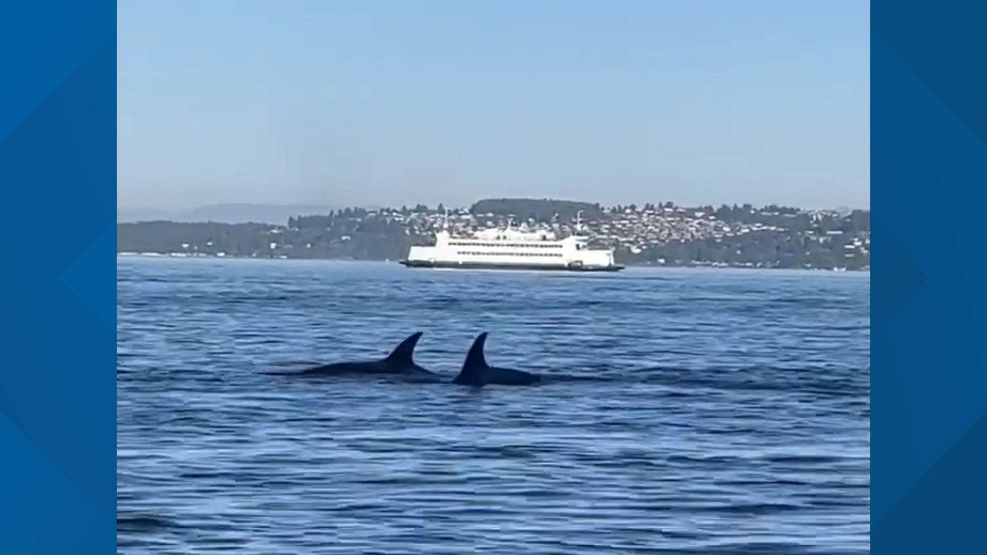 Video taken around 5:30 p.m. Friday, Sept. 16 in Tacoma by Krystle Pyette.