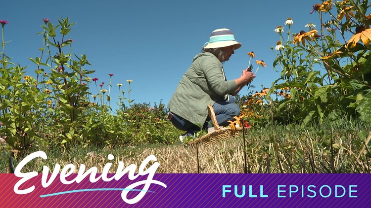 U-pick flowers in Port Townsend and a walk through the pandemic in Seattle | Full Episode - KING 5 Evening