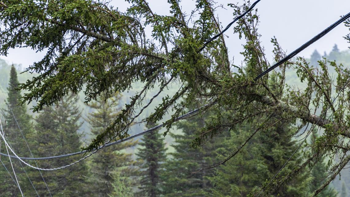 Bomb cyclone will lead to damaging winds in western Washington Tuesday