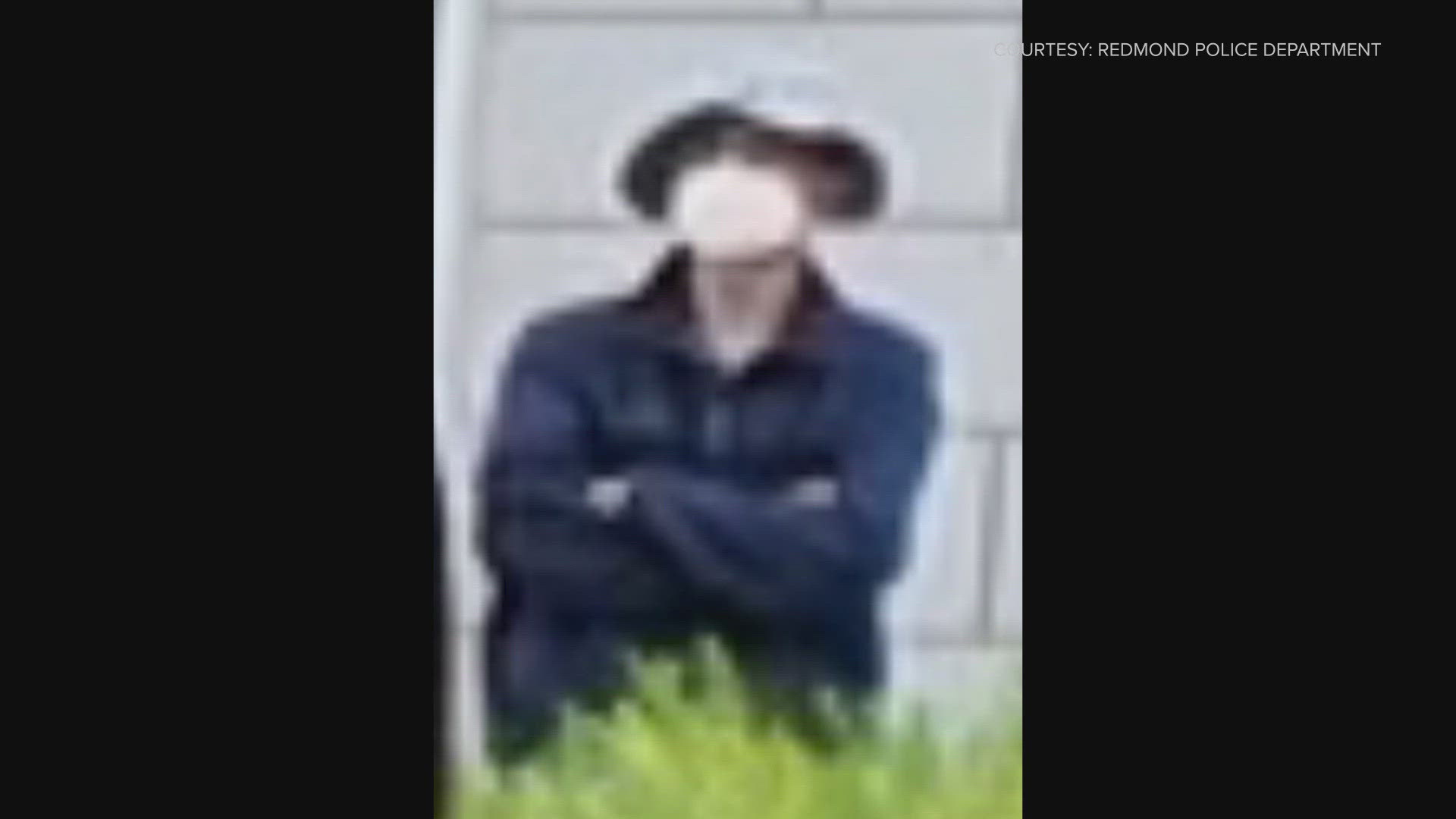 Redmond police are looking for a man they say assaulted several people at the Chime Music Festival on Saturday, June 14th 