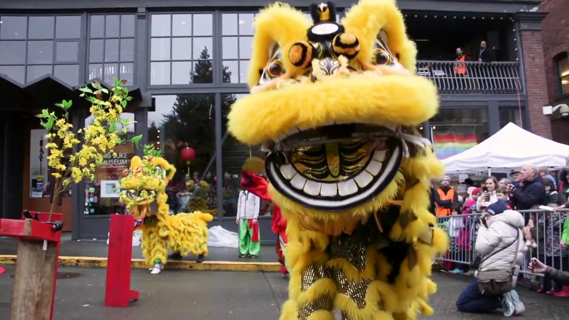 Get ready to welcome the Year of the Tiger. 🐯#k5evening