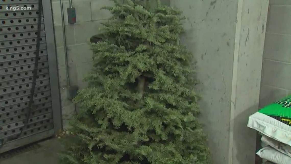 Tips for properly disposing your Christmas tree