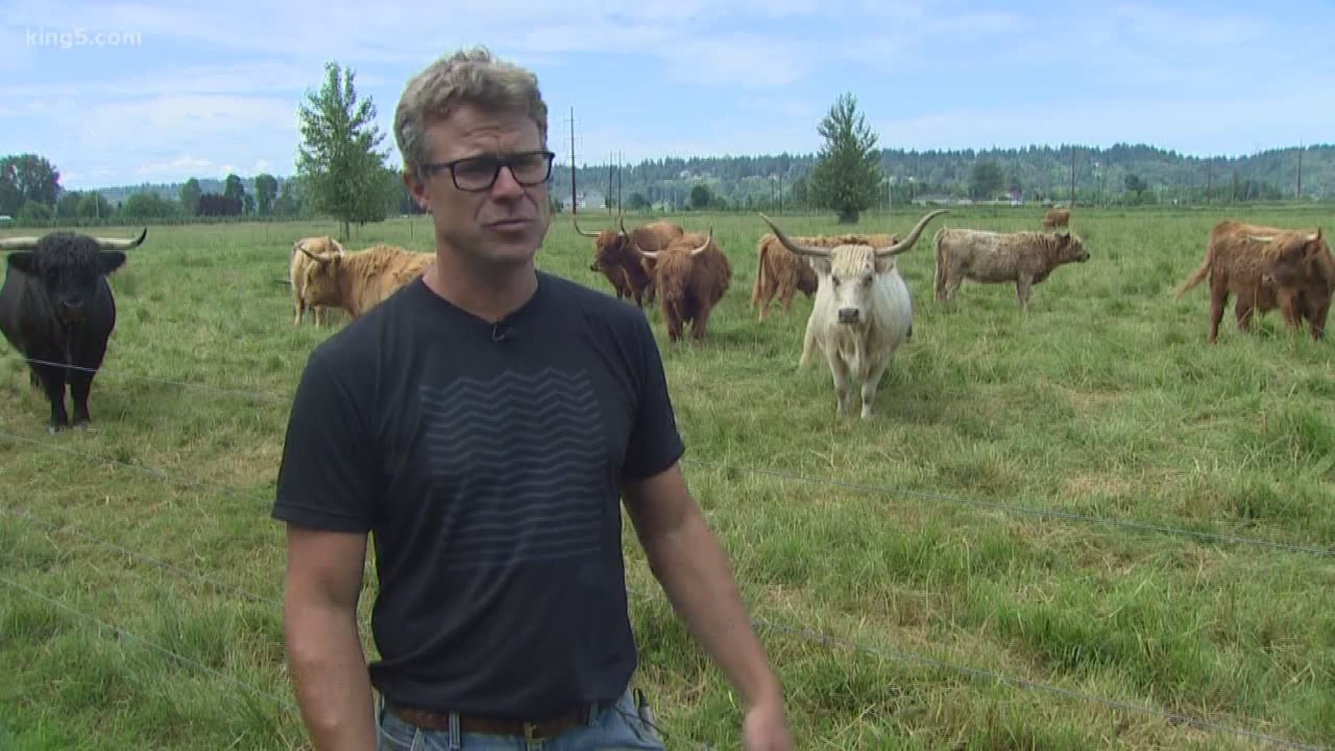 A new form of farming is coming to Snohomish County. "Agro-forestry" combines agriculture and forestry to return farmlands to a more natural state. As KING 5's Eric Wilkinson reports, it's also creating a cleaner environment.
