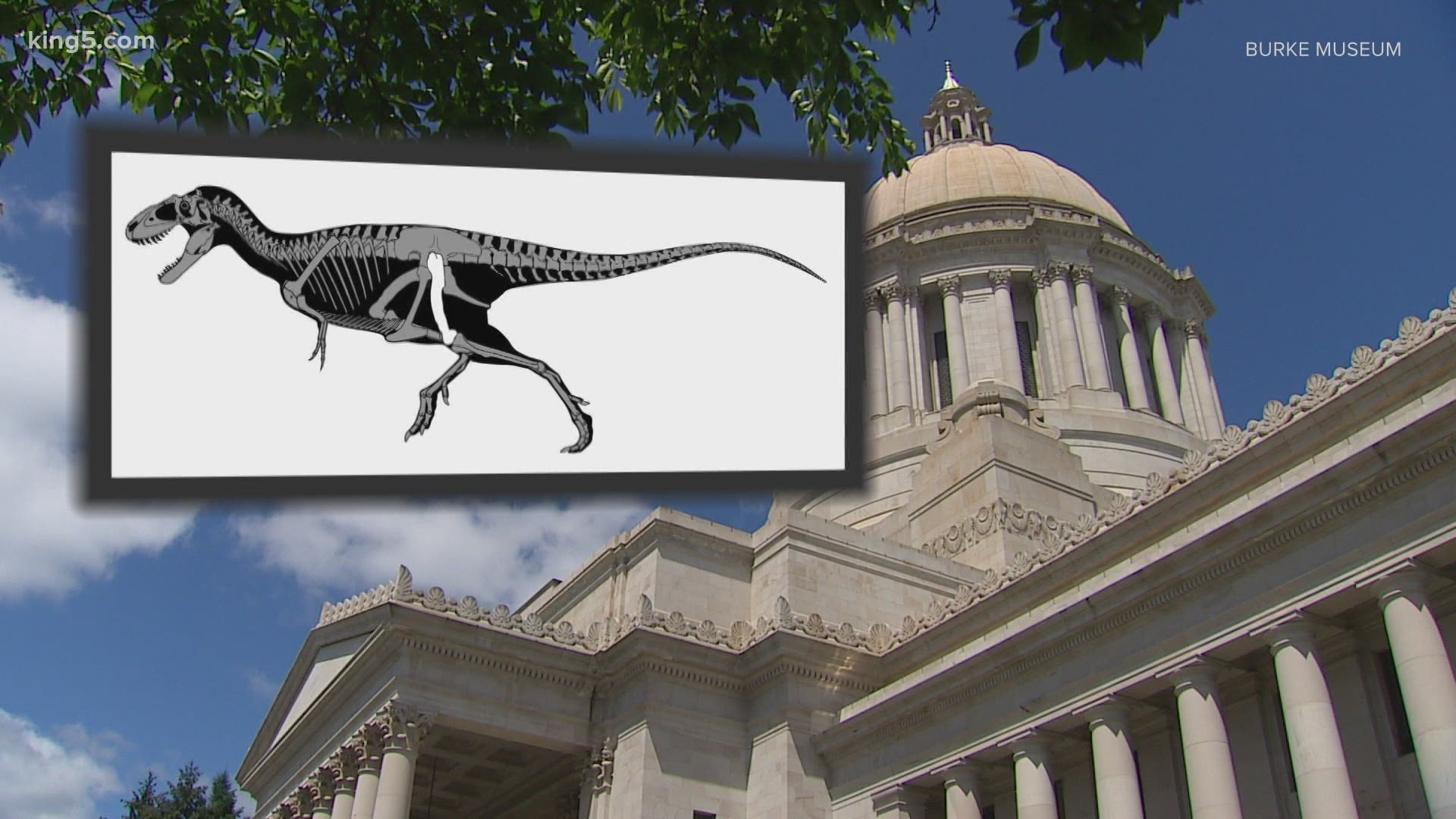 A fourth-grade class suggested making Suciasaurus Rex the official dinosaur. But some lawmakers say the legislation is a distraction during the coronavirus pandemic.