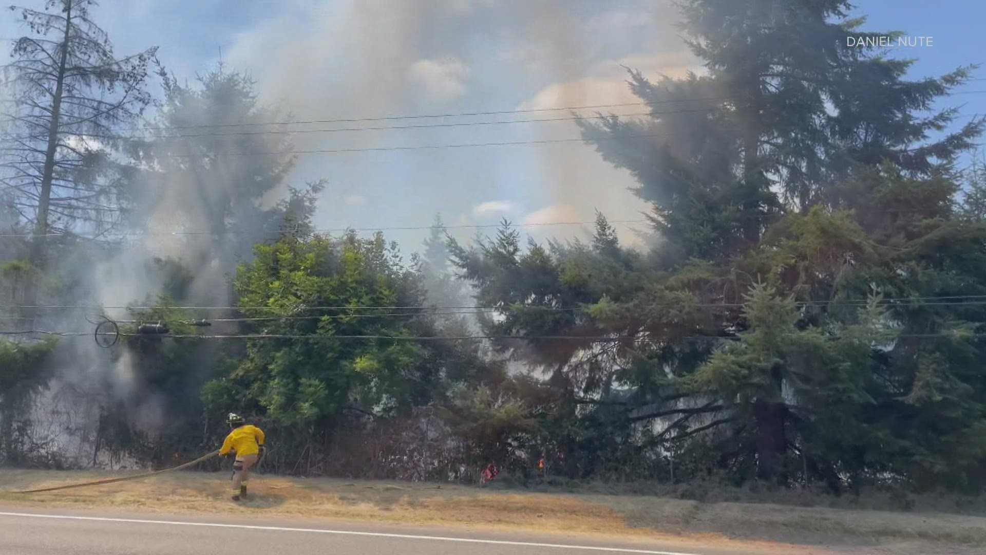 The Washington State Patrol said it appears that a dozen brush fires started along I-5 and Highway 101 Wednesday may have been intentionally set.