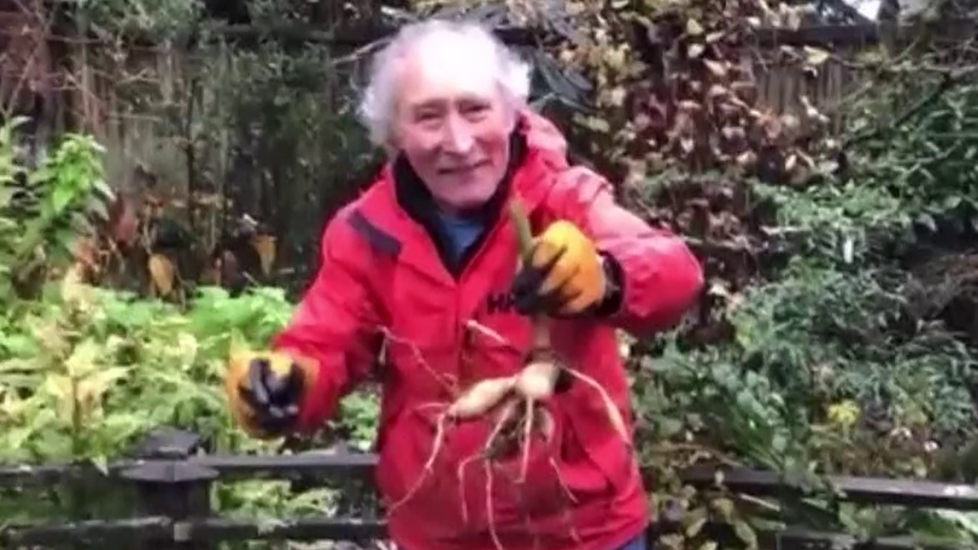 Gardening expert Ciscoe Morris gives us advice! #newdaynw