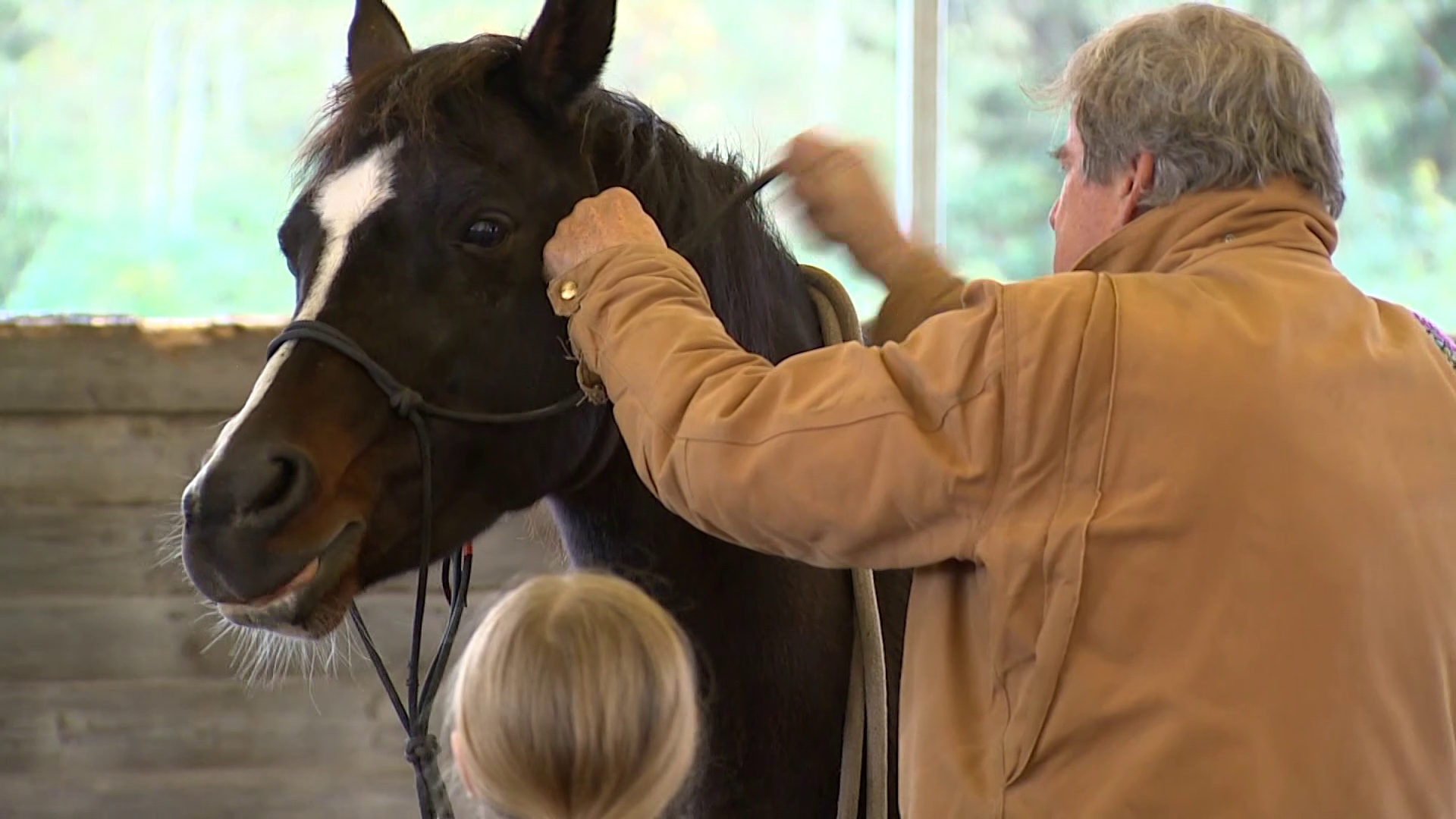 Participants spent time with therapists and horses, helping them process their grief and sadness.