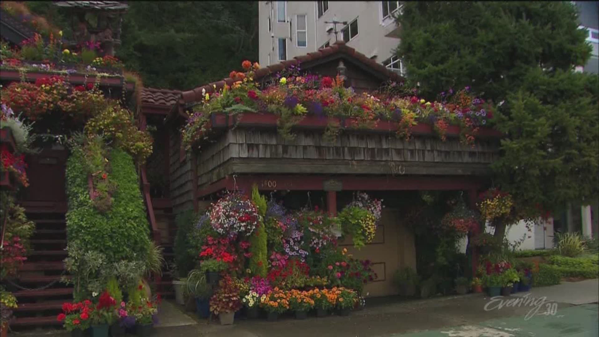 The world's flower house on Alki-woman gets visitors from all over the globe to see her two houses bursting with blooms